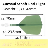 Cuesoul integrierte Dart Flights AK7, Standard S, grün Transparent
