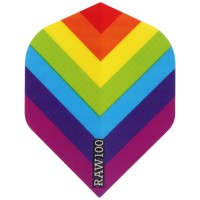 Dart Flight mit Regenbogen Motiv LGBT