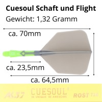 Cuesoul integrierte Dart Flights AK7, Standard S, grau hellgrün