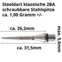 Target Titanium Converter Nano Swiss, Steeldartspitzen, silber, 26mm